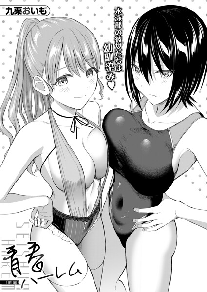 B104atint02630pl