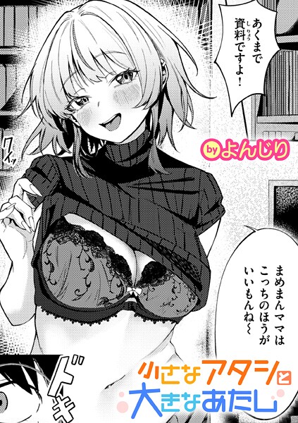 B915awnmg04060pl