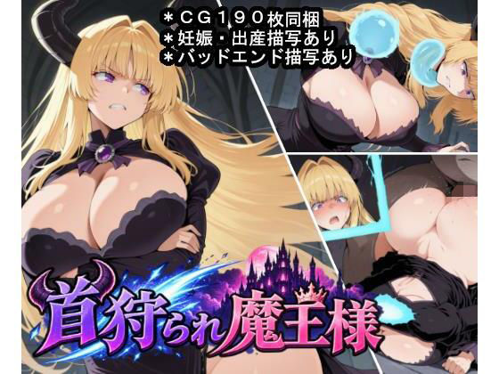 D 809936pl
