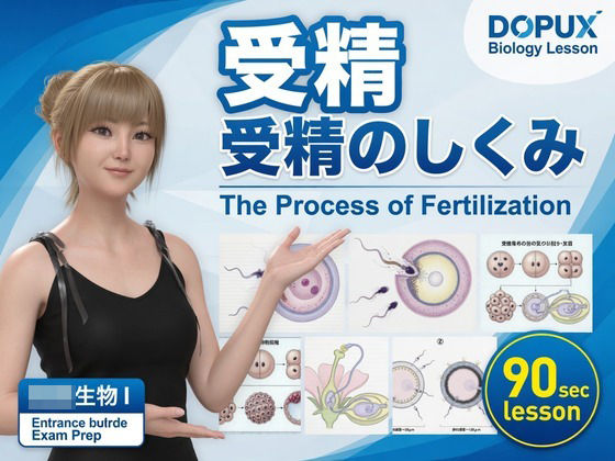 D 815069pl