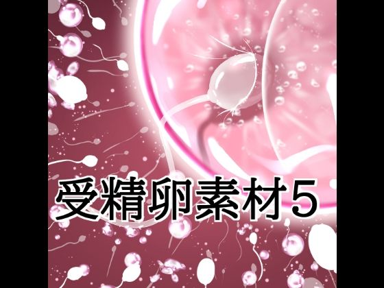 D 816014pl