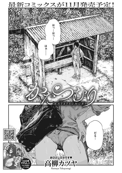 S011akamj01662pl